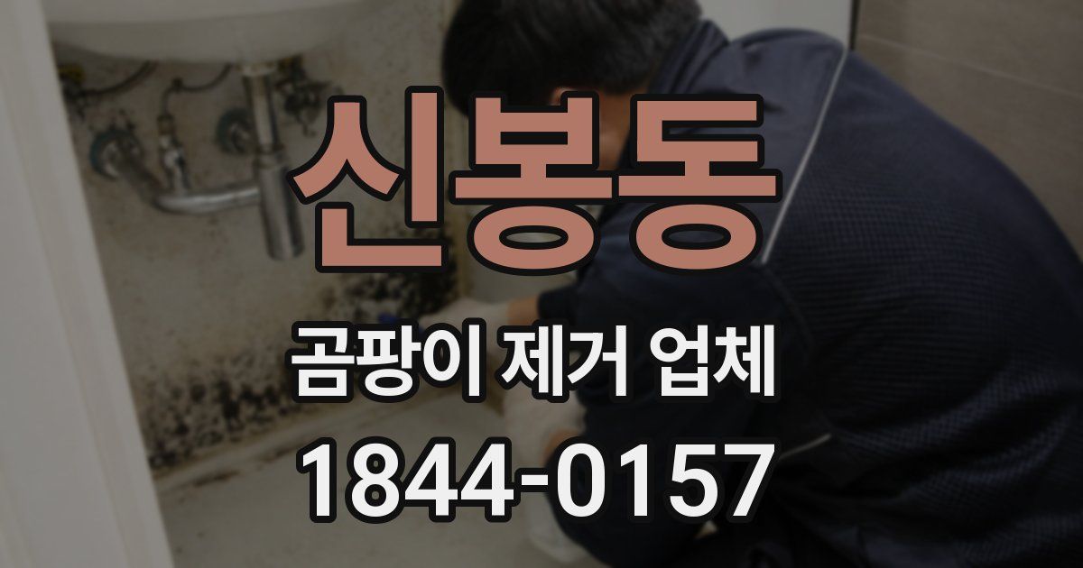 신봉동 곰팡이 제거 업체