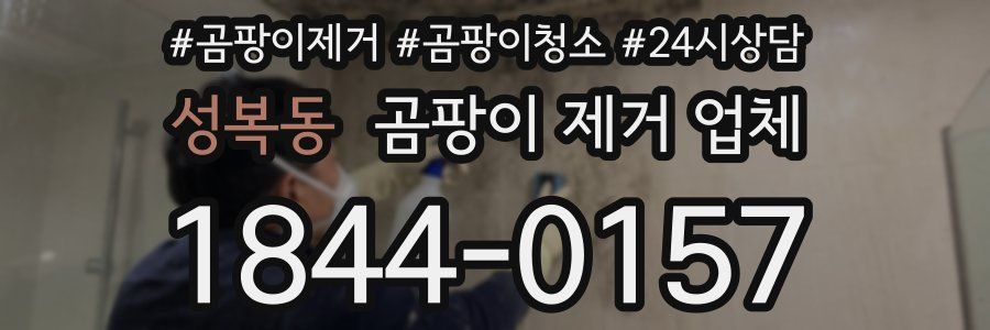 성복동 곰팡이 제거 업체