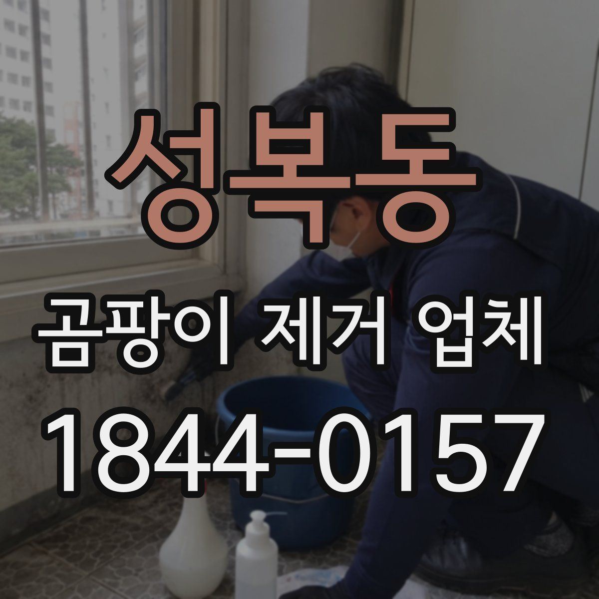 성복동 곰팡이 제거 업체