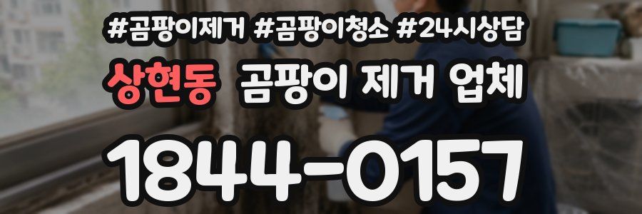 상현동 곰팡이 제거 업체