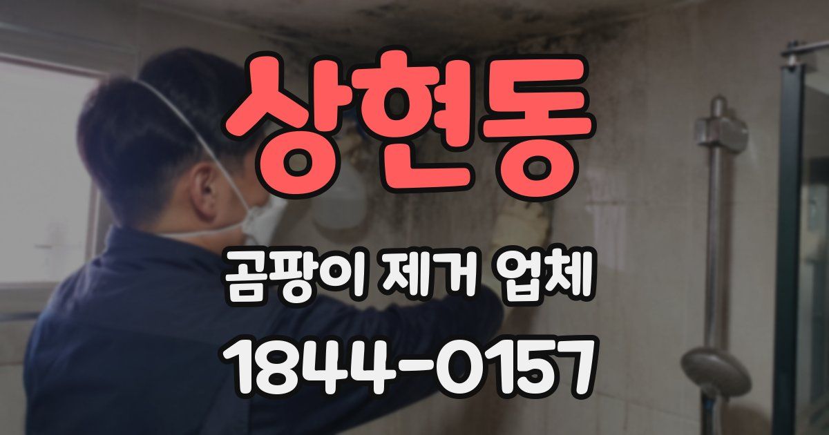 상현동 곰팡이 제거 업체