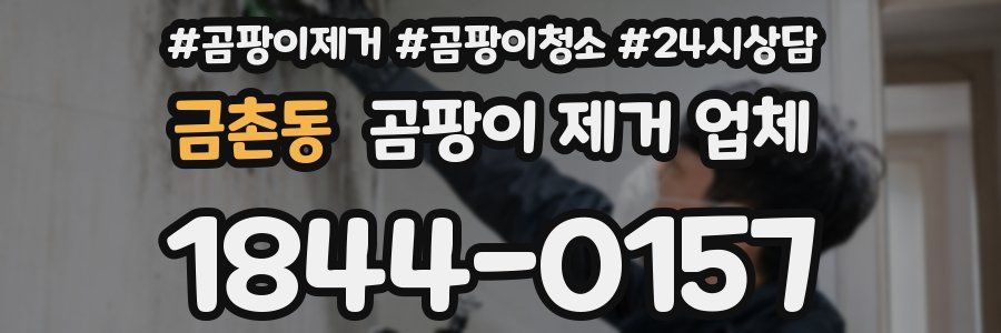 금촌동 곰팡이 제거 업체