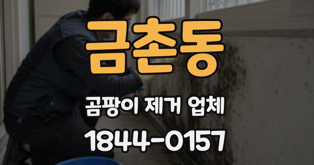 금촌동 곰팡이 제거 업체