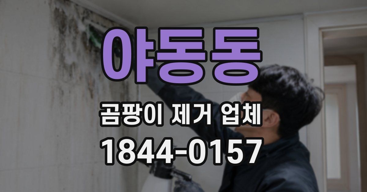 야동동 곰팡이 제거 업체