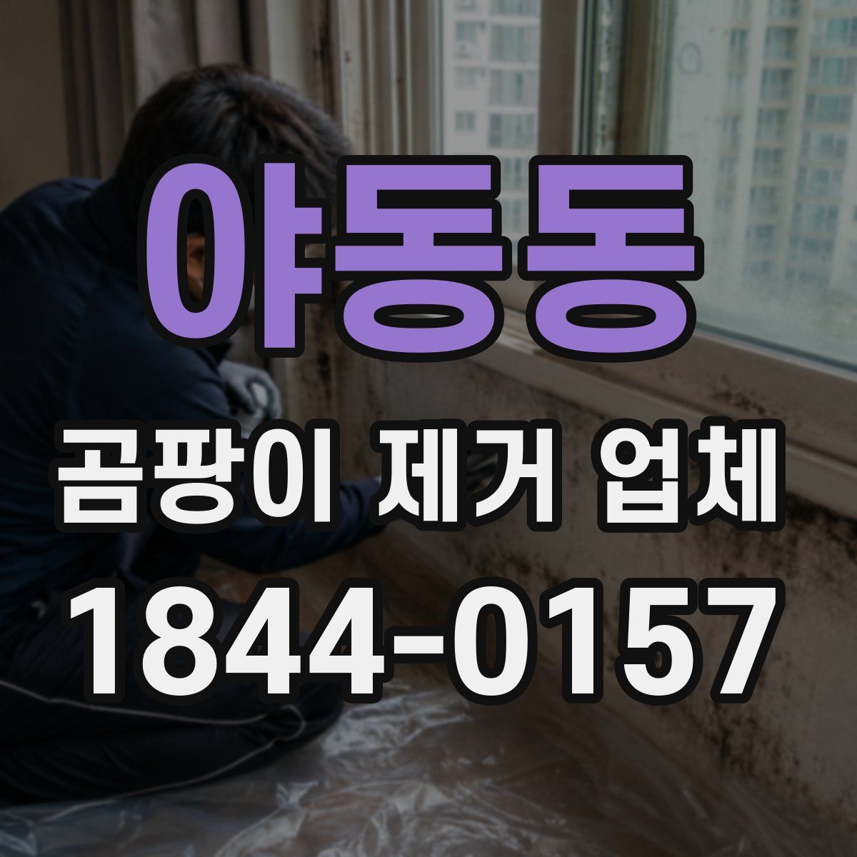 야동동 곰팡이 제거 업체
