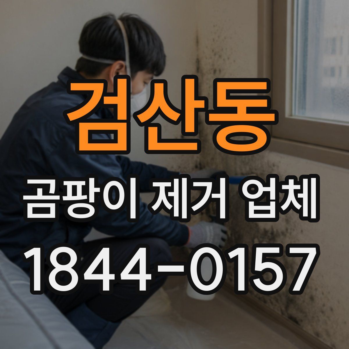 검산동 곰팡이 제거 업체