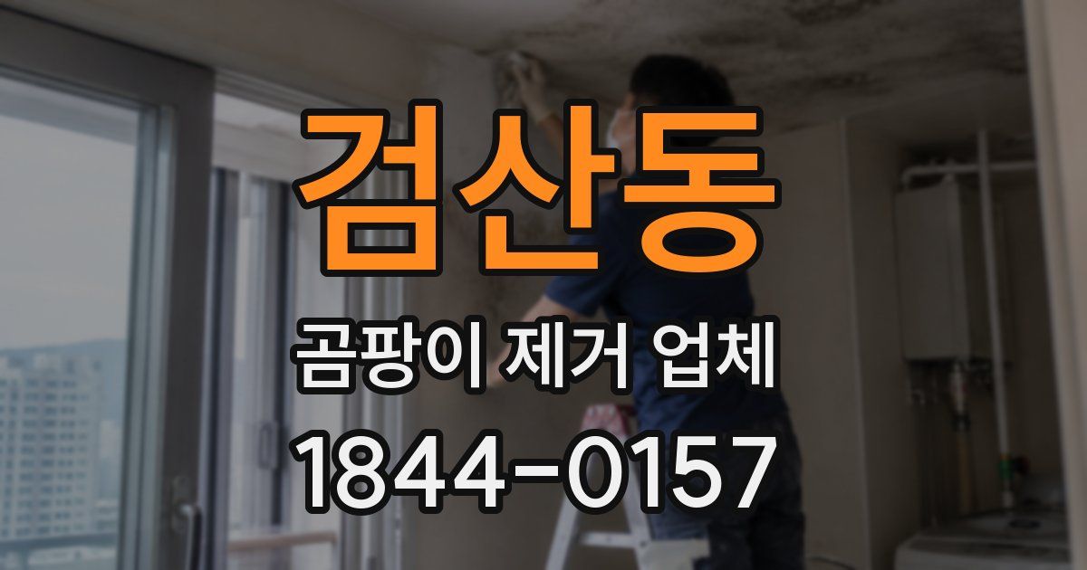 검산동 곰팡이 제거 업체