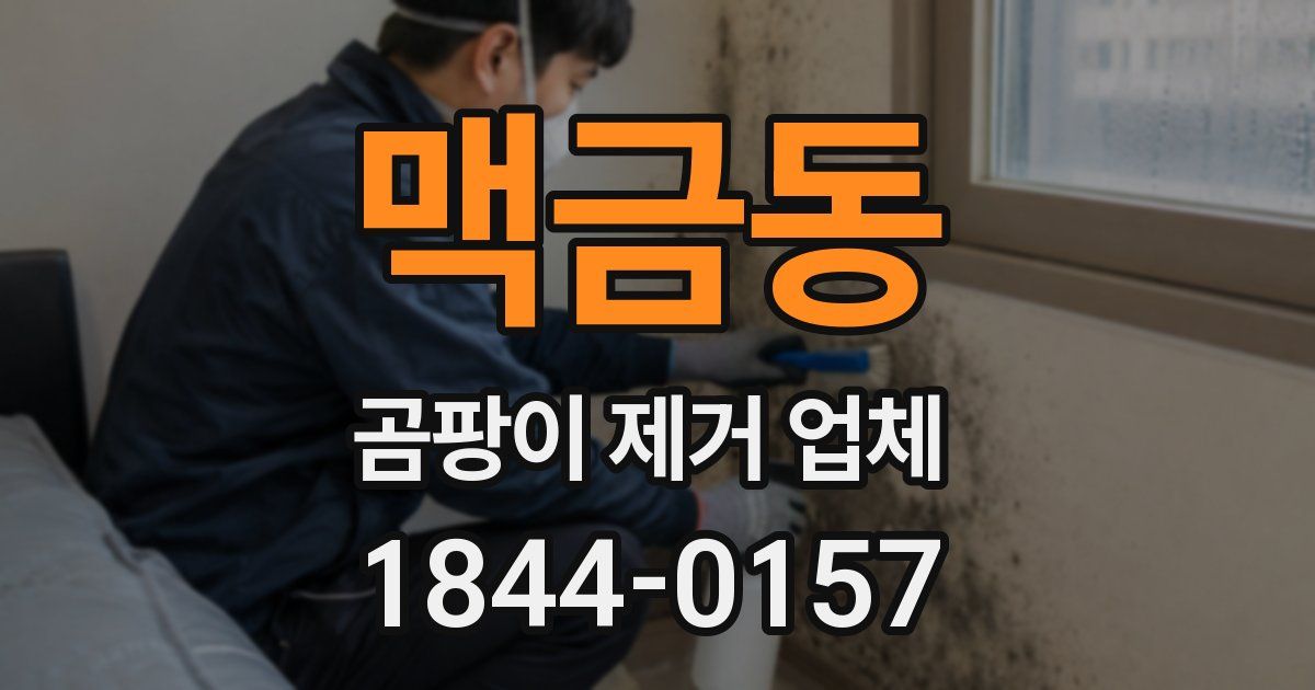 맥금동 곰팡이 제거 업체