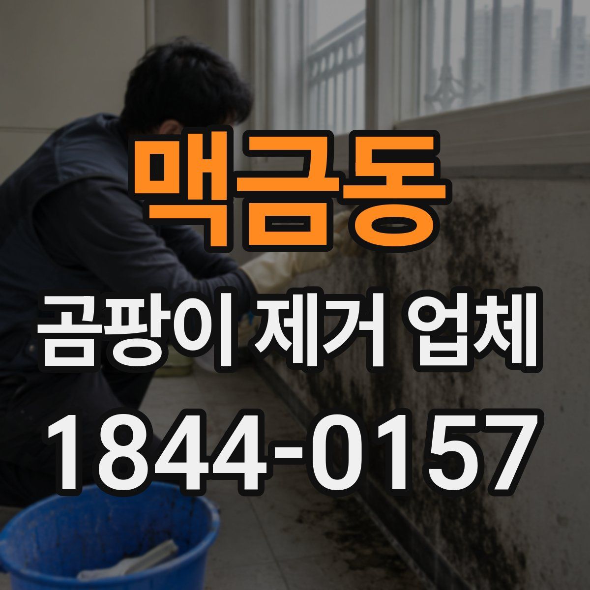 맥금동 곰팡이 제거 업체