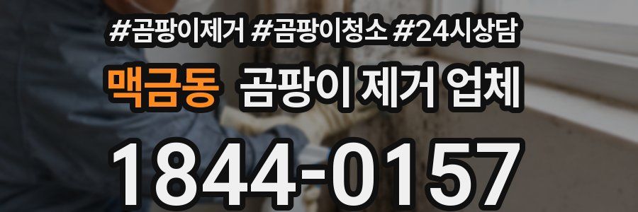 맥금동 곰팡이 제거 업체
