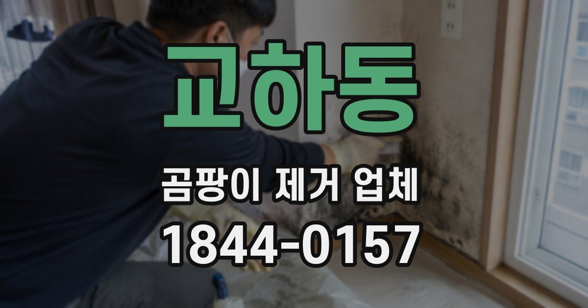 교하동 곰팡이 제거 업체
