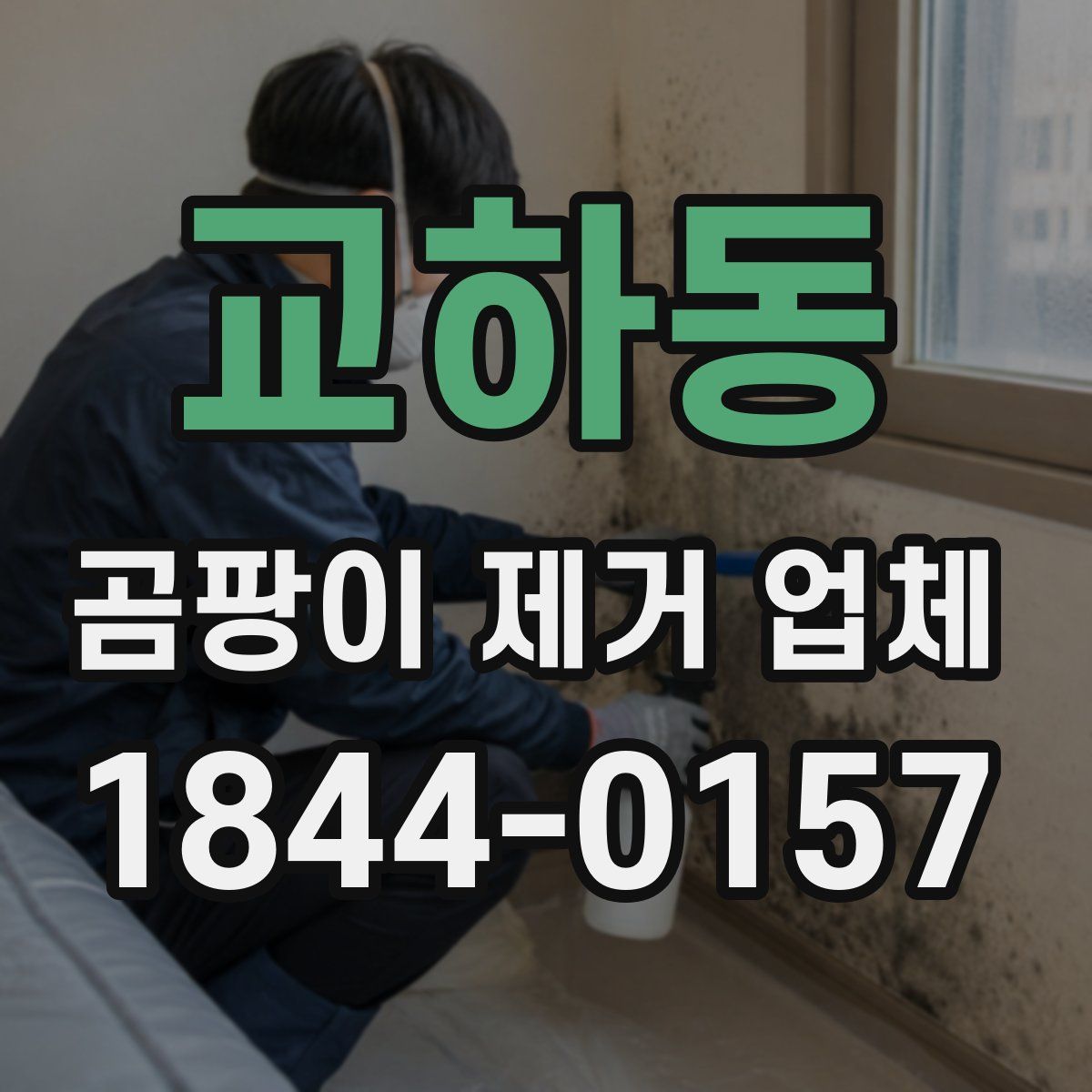 교하동 곰팡이 제거 업체