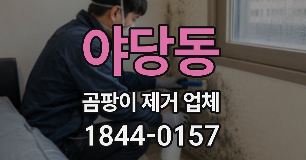 야당동 곰팡이 제거 업체