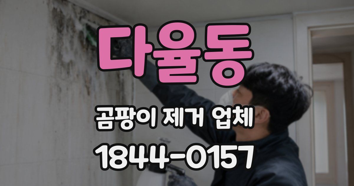 다율동 곰팡이 제거 업체