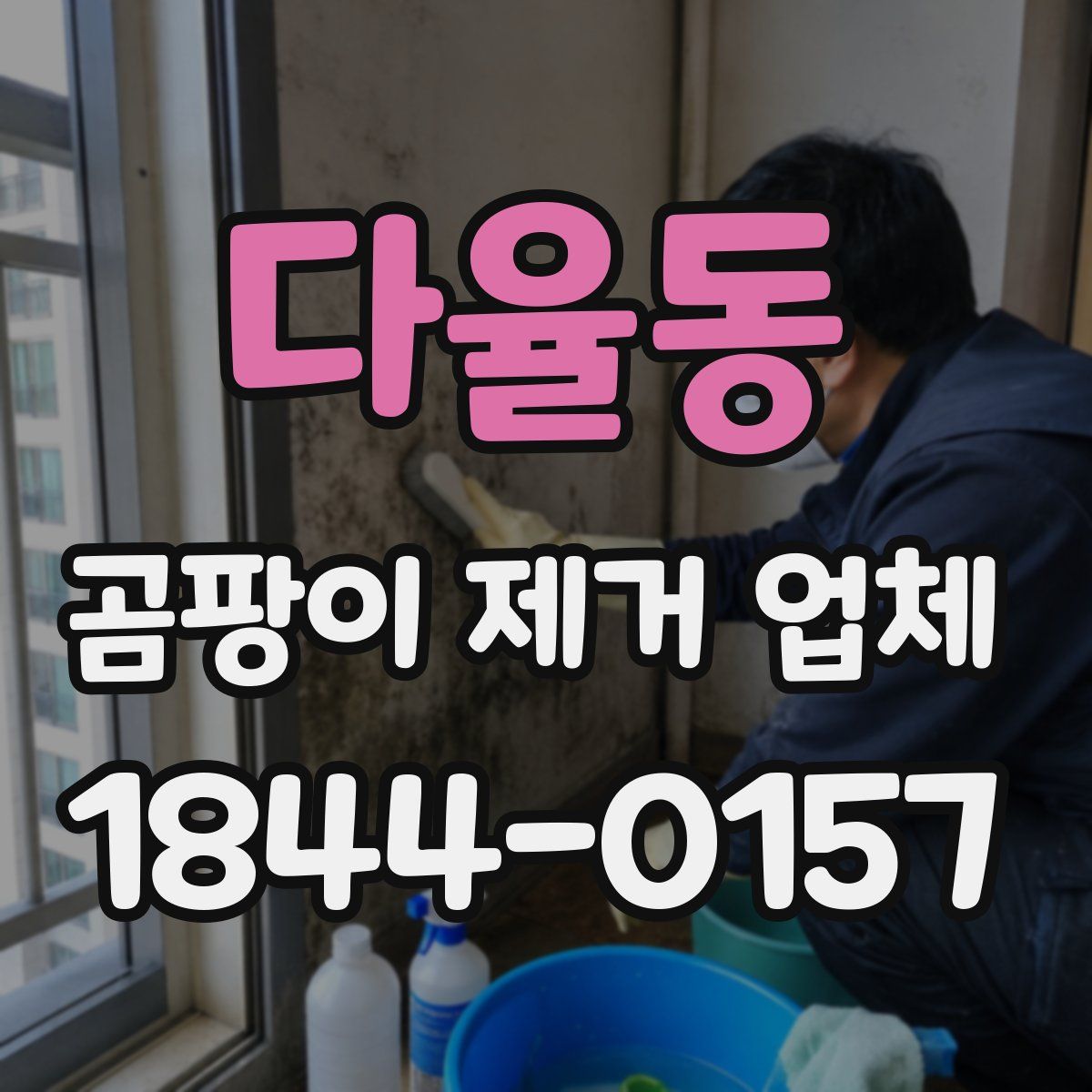 다율동 곰팡이 제거 업체