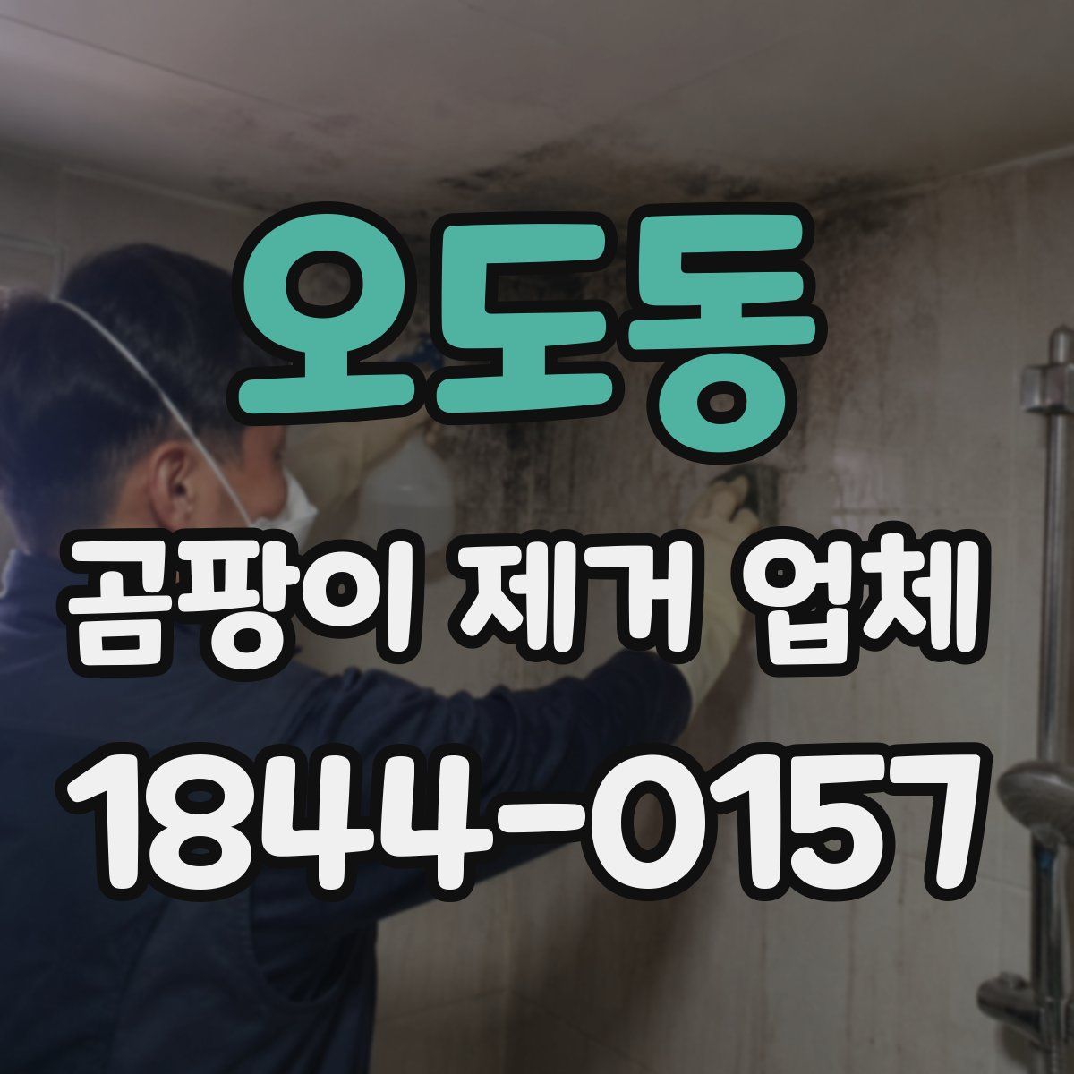 오도동 곰팡이 제거 업체