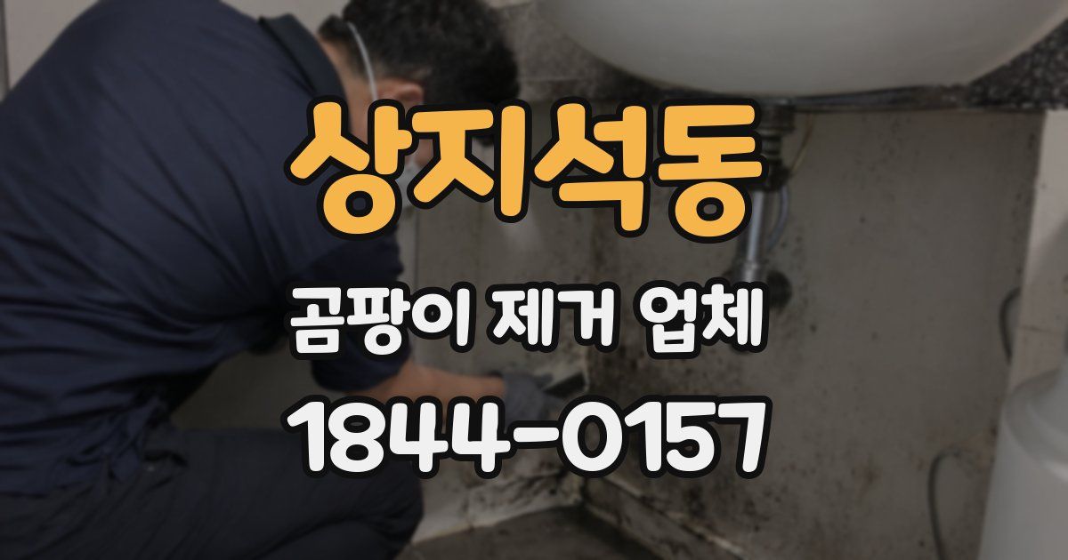상지석동 곰팡이 제거 업체
