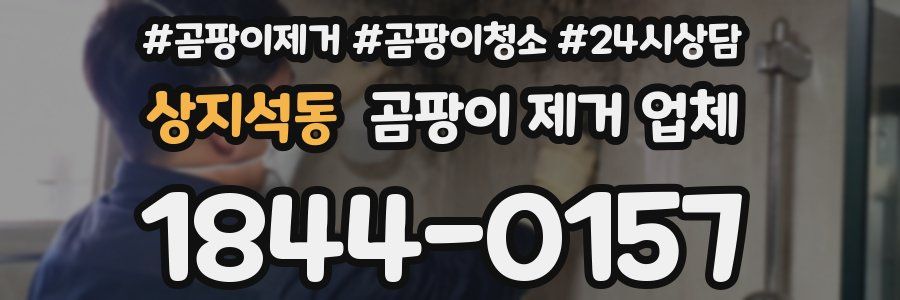 상지석동 곰팡이 제거 업체