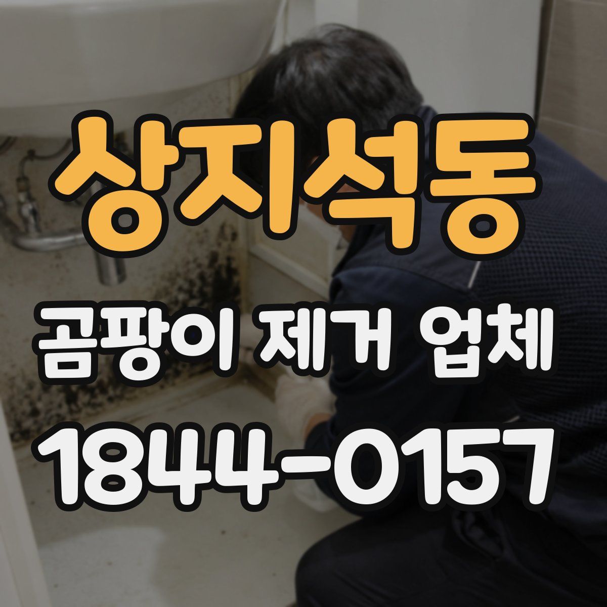 상지석동 곰팡이 제거 업체