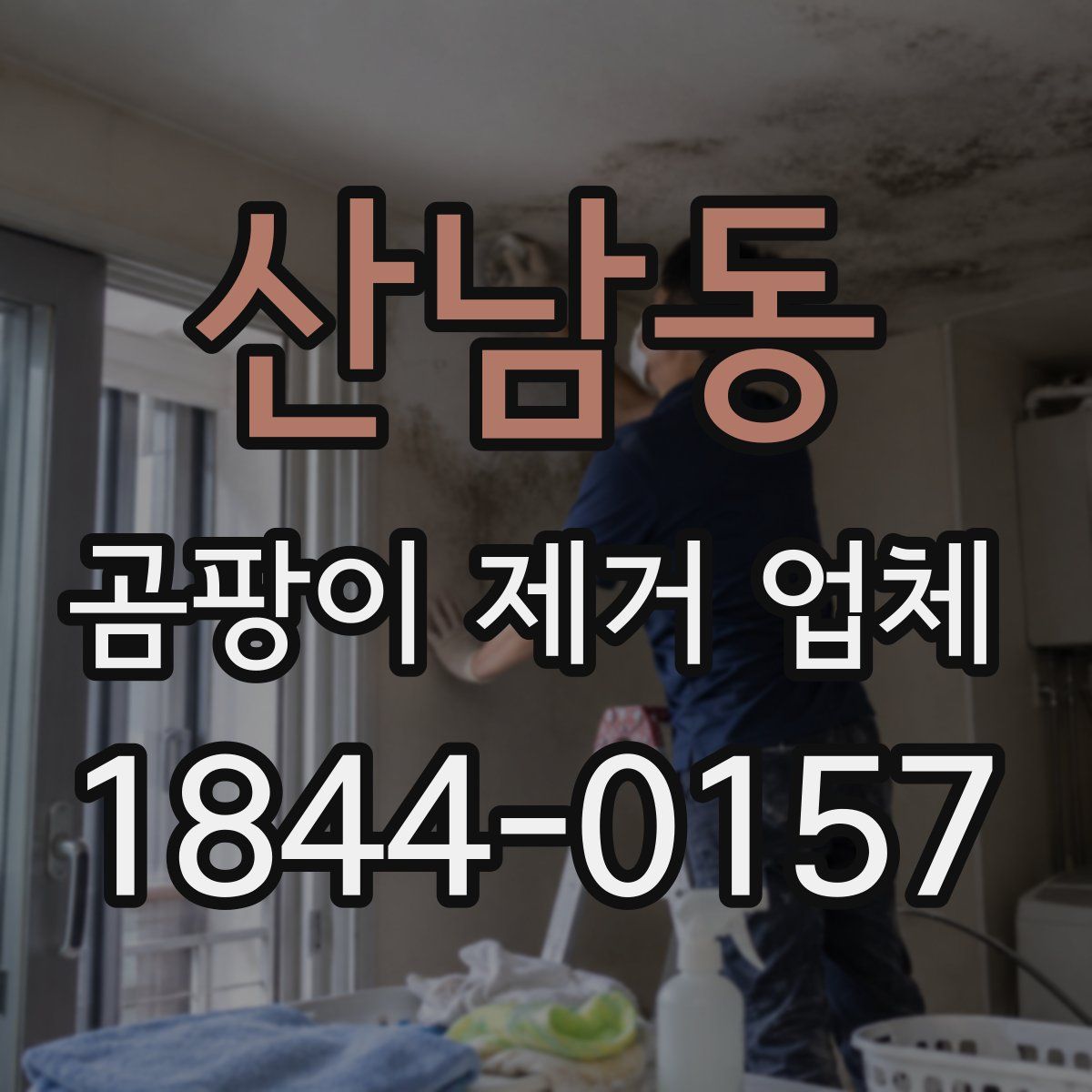산남동 곰팡이 제거 업체