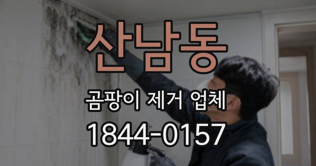 산남동 곰팡이 제거 업체