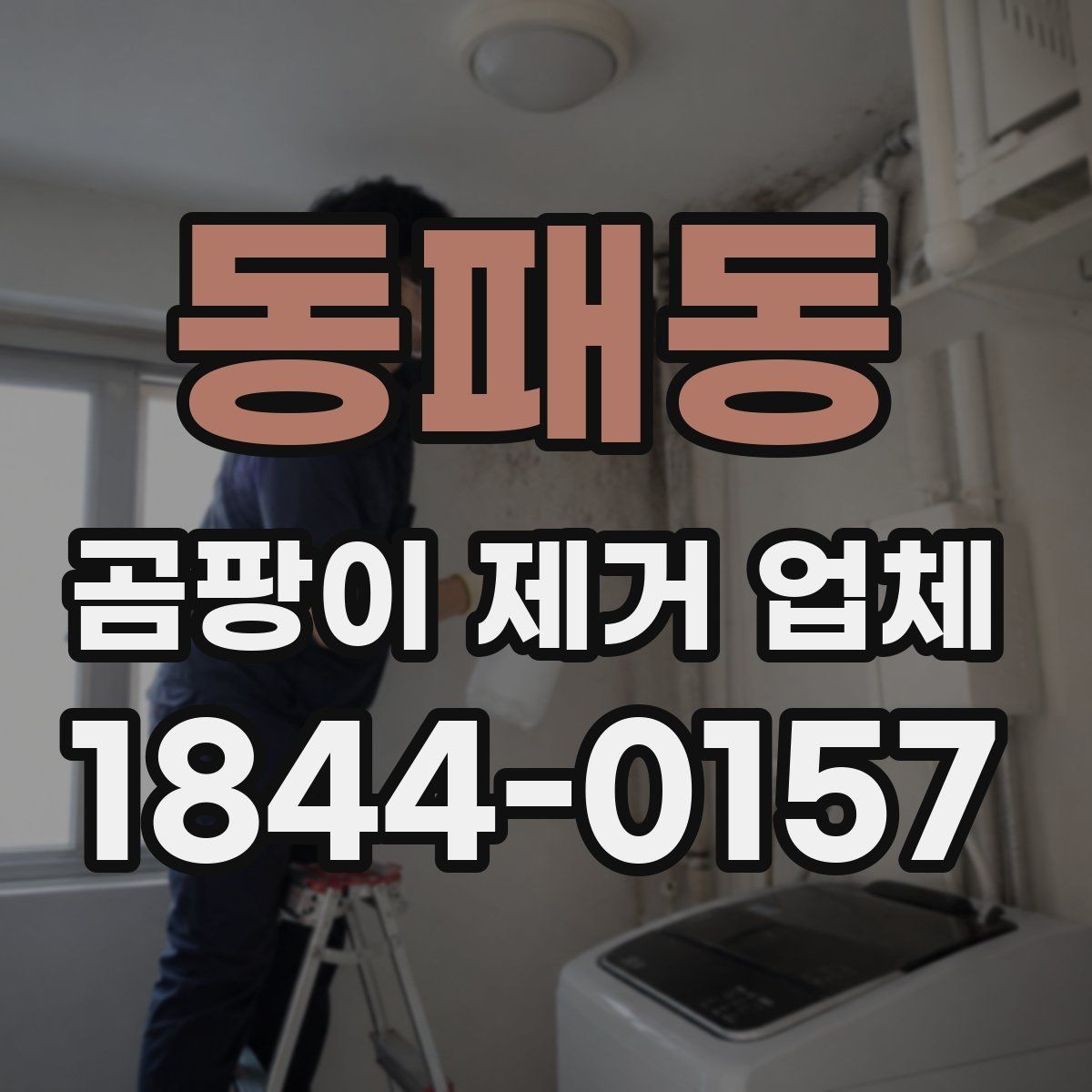 동패동 곰팡이 제거 업체 표면 청소로 끝나지 않는 상황을 구분하는 법