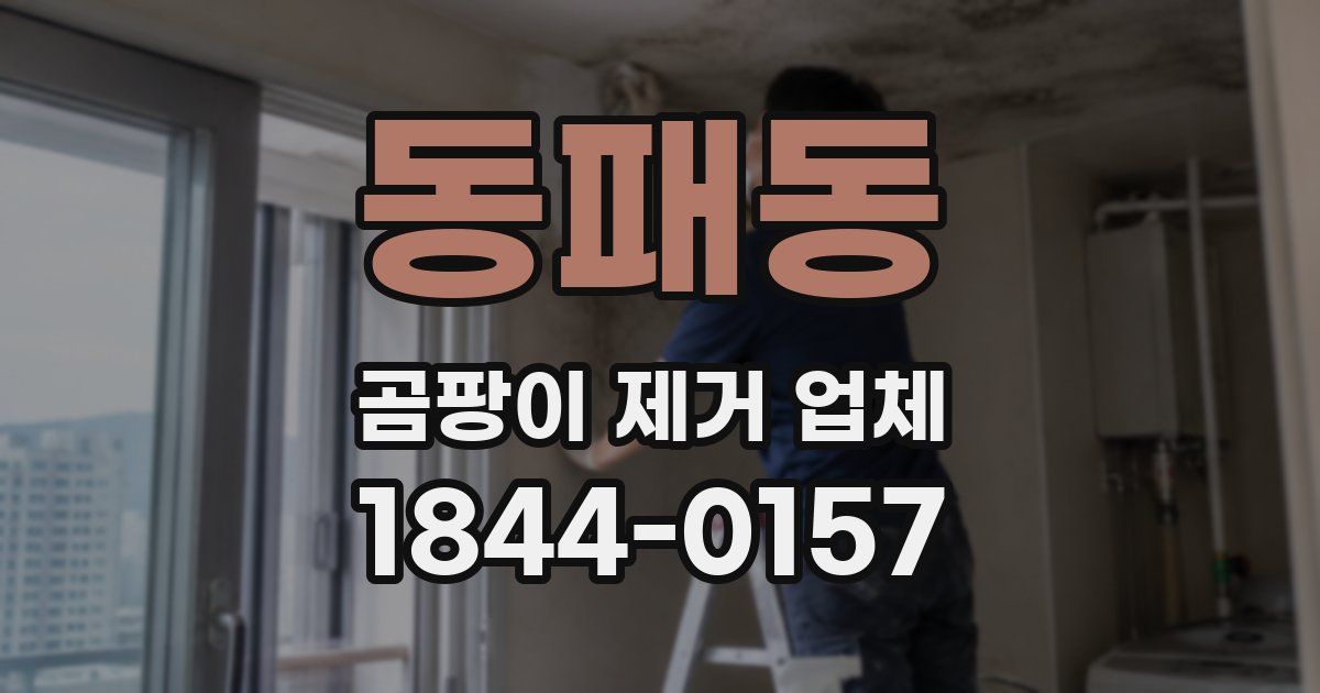 동패동 곰팡이 제거 업체