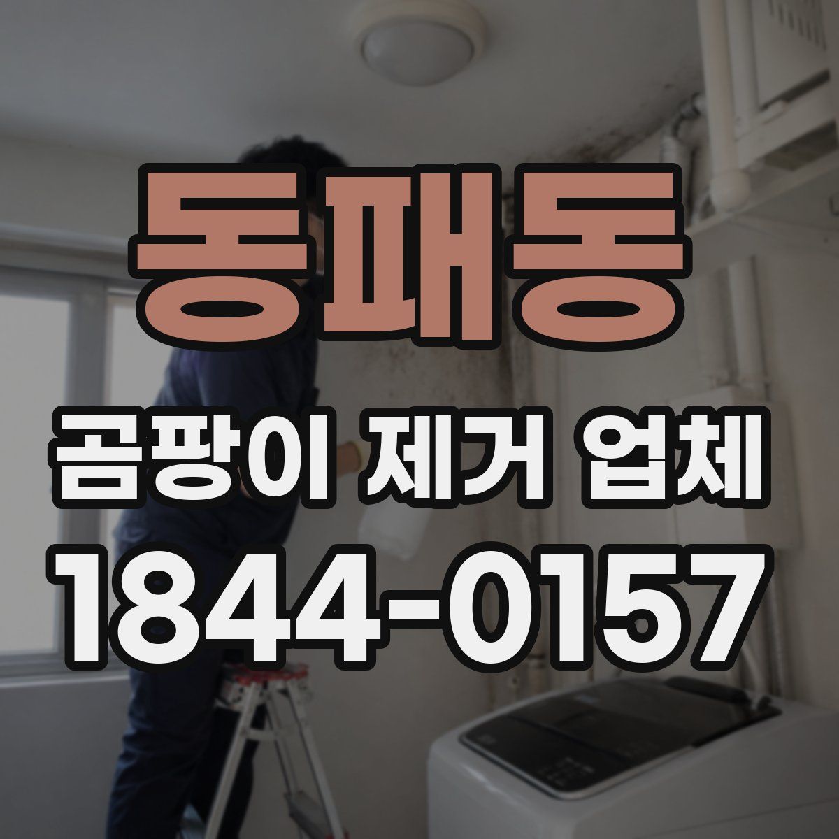 동패동 곰팡이 제거 업체