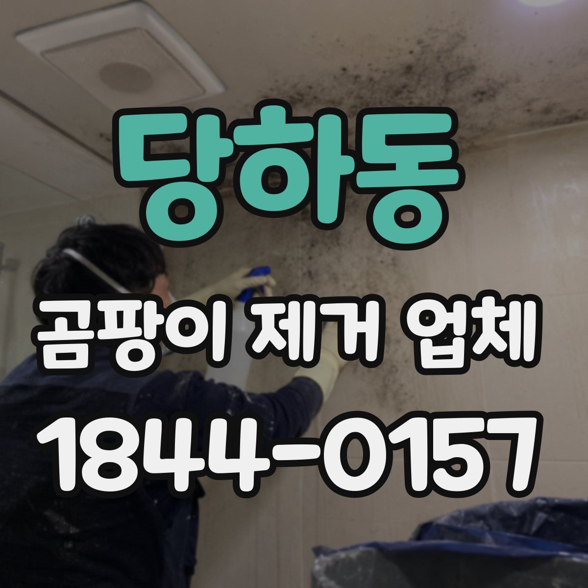 당하동 곰팡이 제거 업체