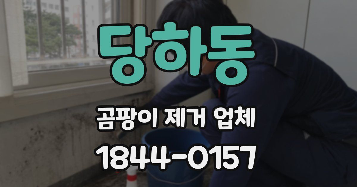 당하동 곰팡이 제거 업체