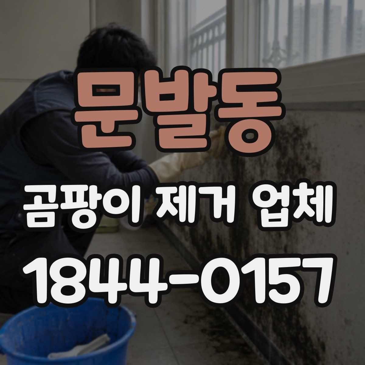 문발동 곰팡이 제거 업체 원인 미해결로 재발하는 공간 점검 방법