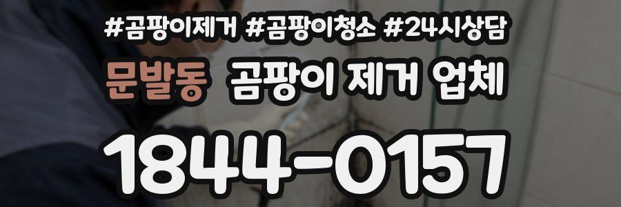 문발동 곰팡이 제거 업체
