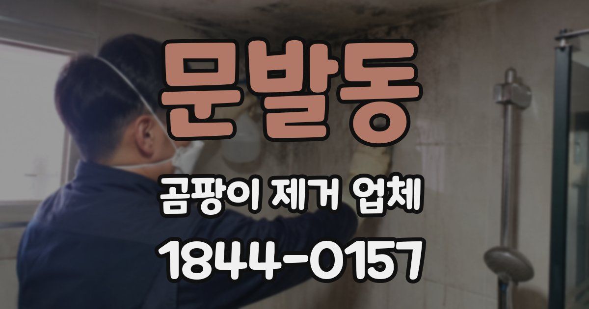 문발동 곰팡이 제거 업체