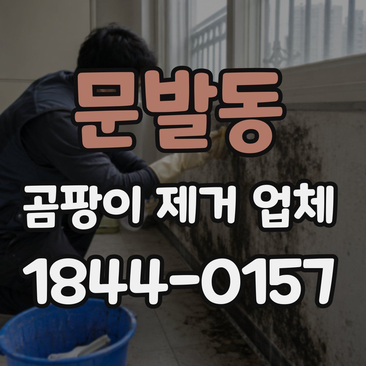 문발동 곰팡이 제거 업체