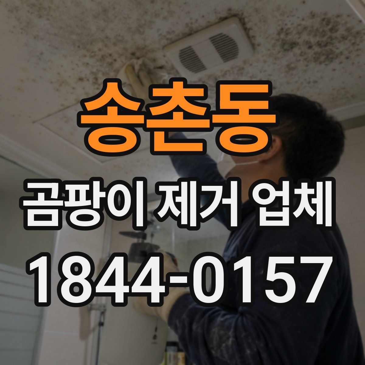 송촌동 곰팡이 제거 업체