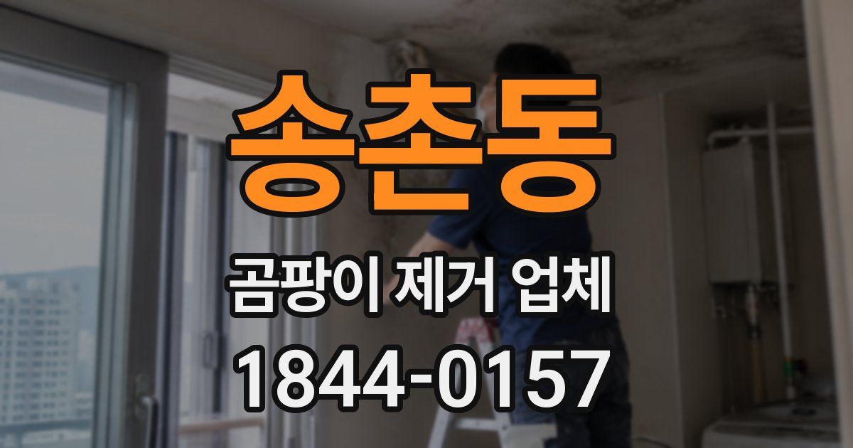 송촌동 곰팡이 제거 업체