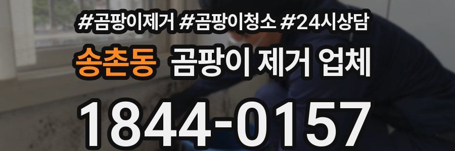 송촌동 곰팡이 제거 업체