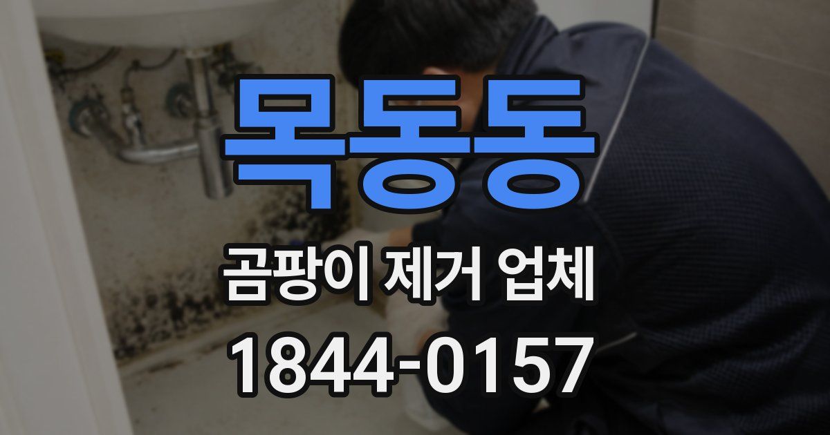 목동동 곰팡이 제거 업체
