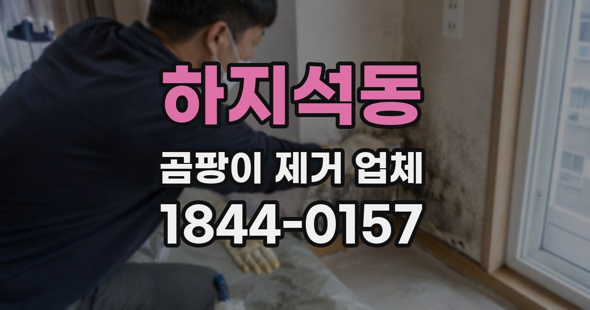 하지석동 곰팡이 제거 업체