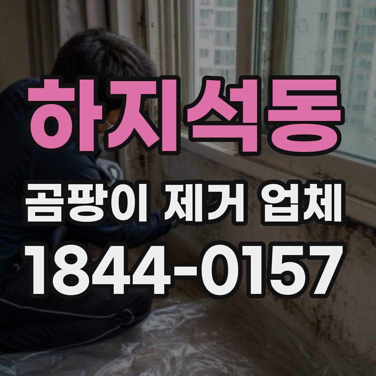 하지석동 곰팡이 제거 업체