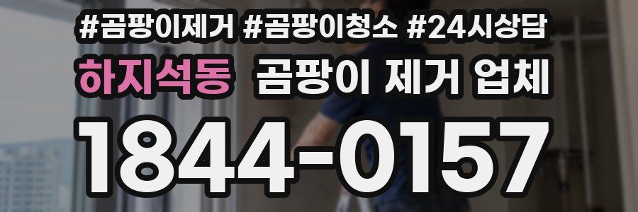 하지석동 곰팡이 제거 업체