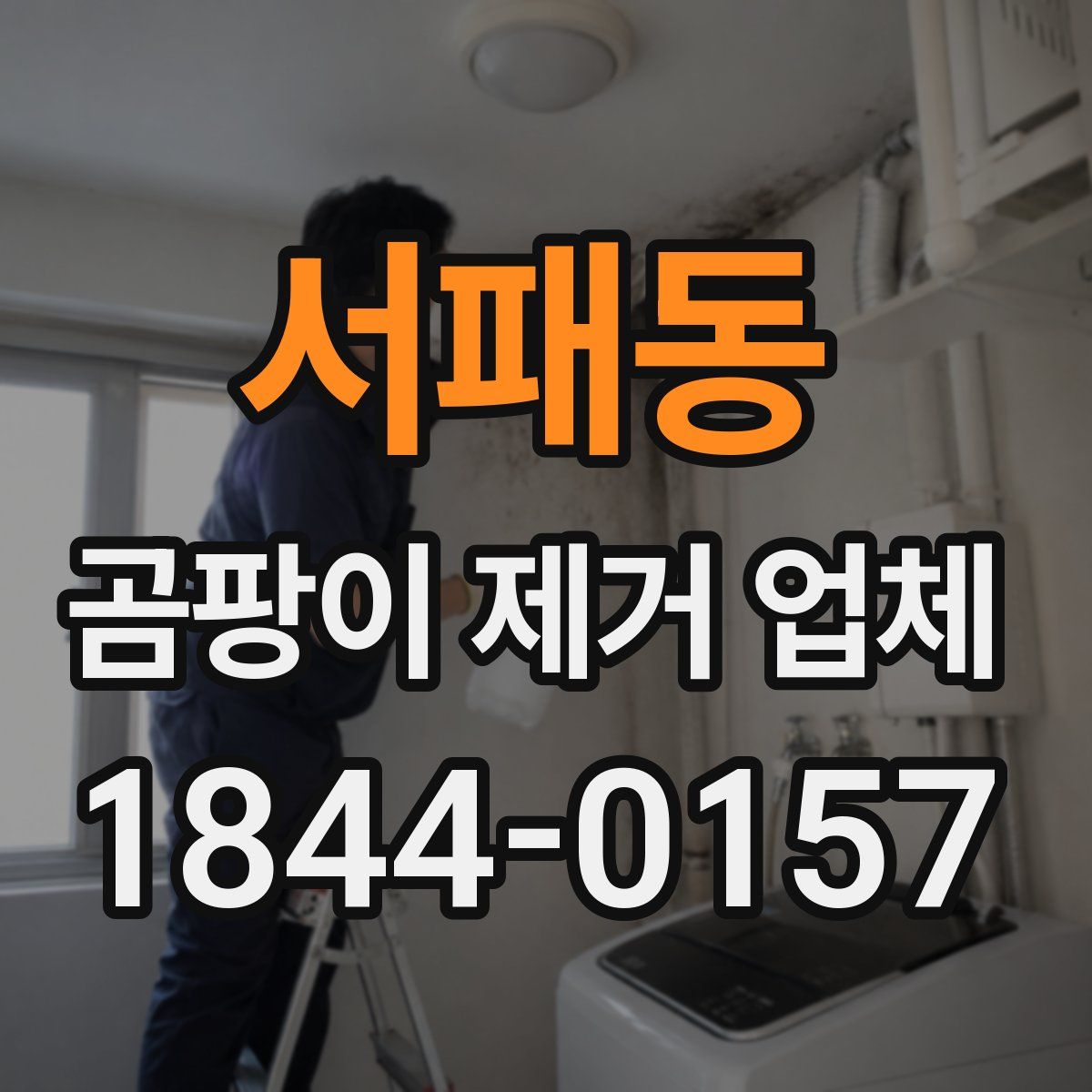 서패동 곰팡이 제거 업체