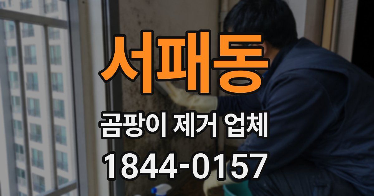 서패동 곰팡이 제거 업체
