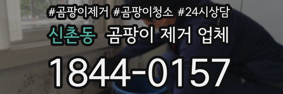 신촌동 곰팡이 제거 업체