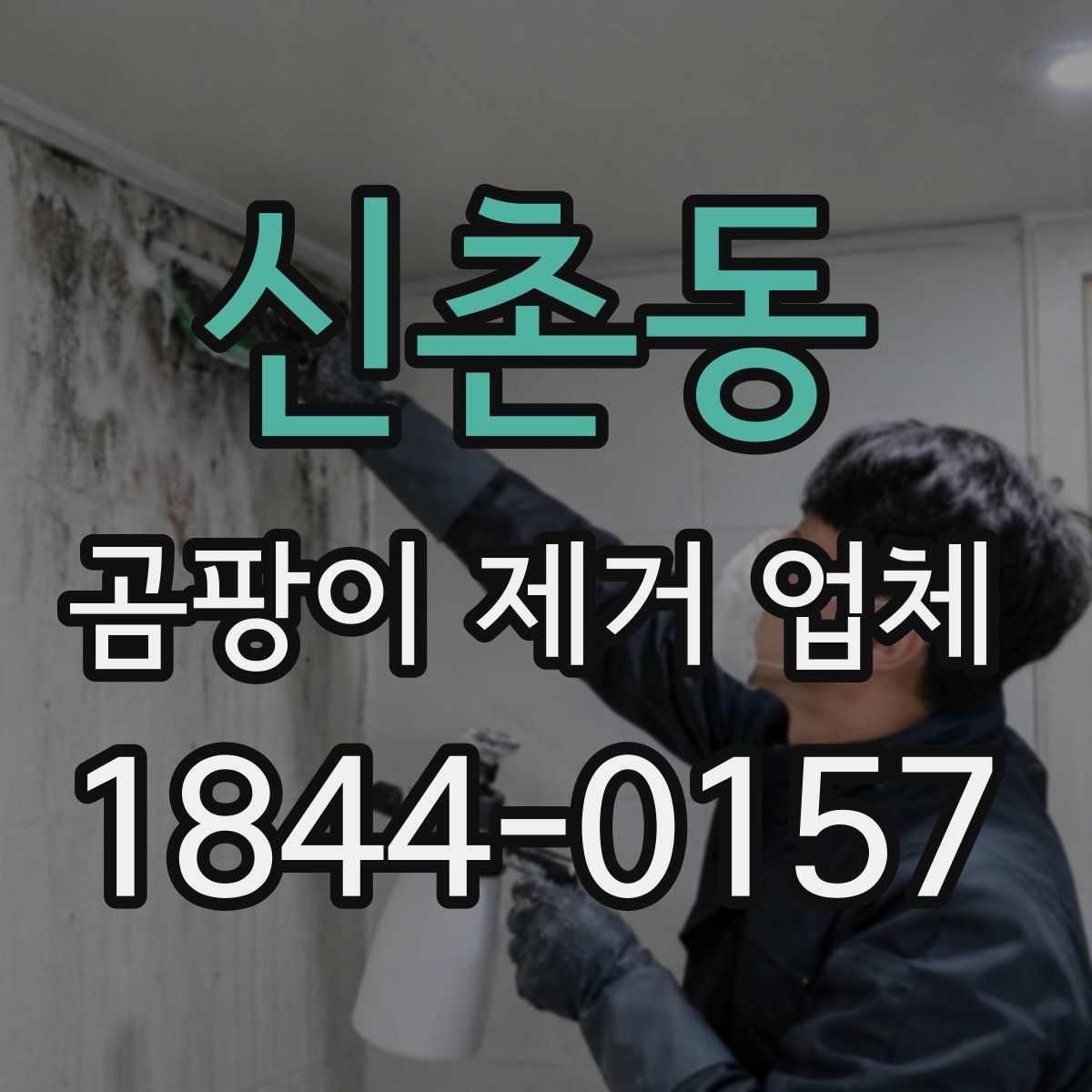 신촌동 곰팡이 제거 업체
