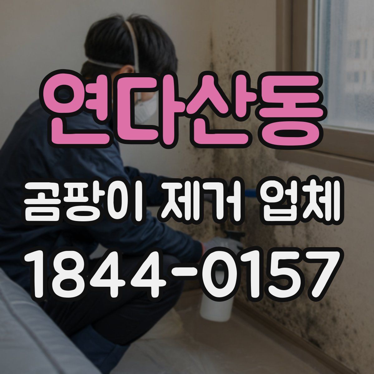 연다산동 곰팡이 제거 업체