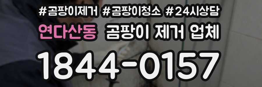 연다산동 곰팡이 제거 업체