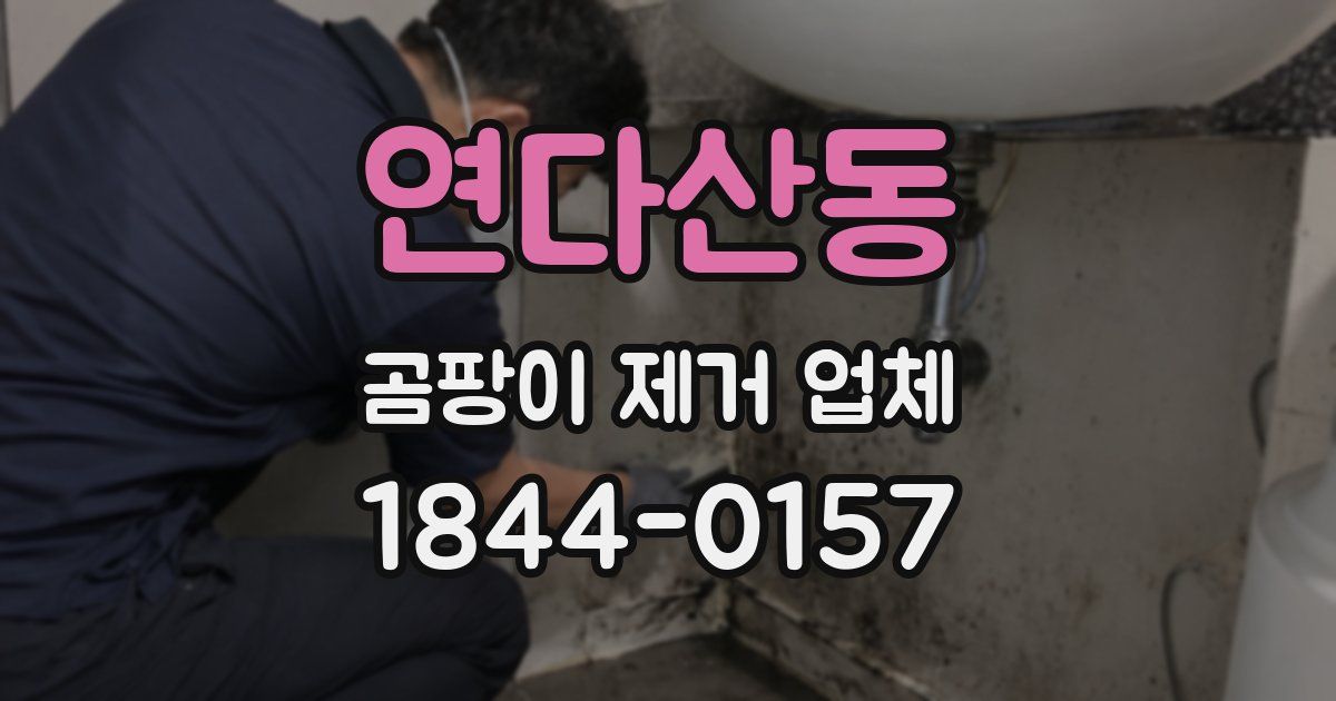 연다산동 곰팡이 제거 업체