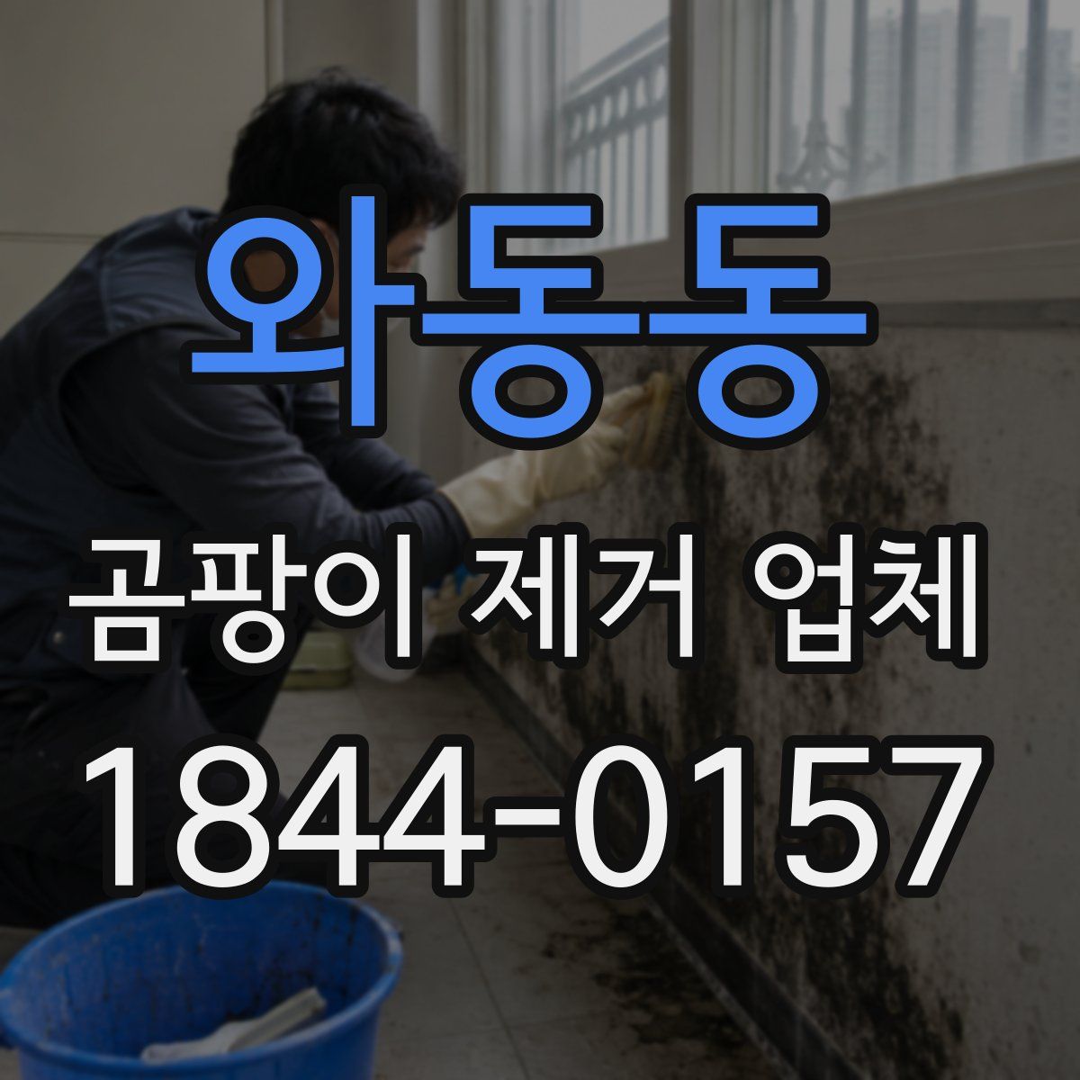 와동동 곰팡이 제거 업체