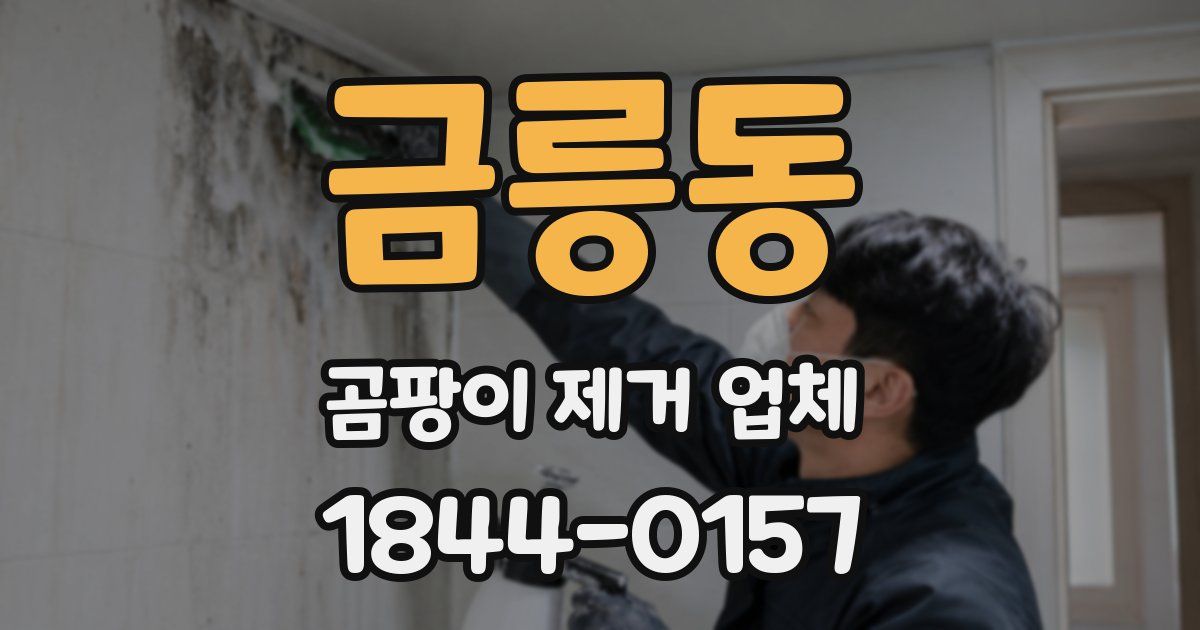 금릉동 곰팡이 제거 업체